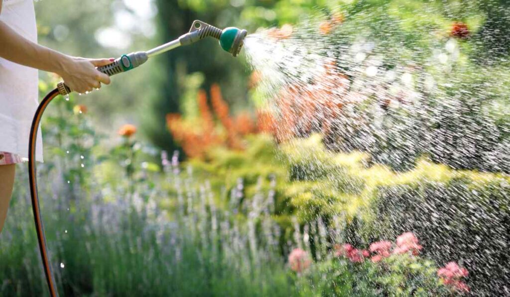 Melhor mangueira para jardim: 10 ótimas opções