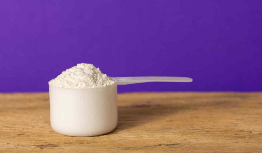 O Que é Melhor: Blend ou Whey?