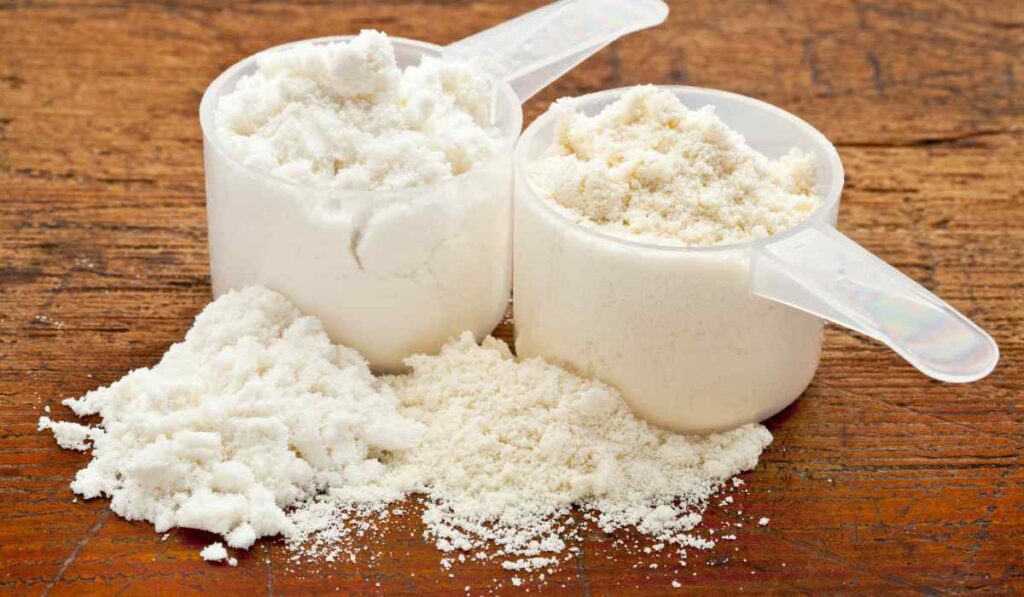 Whey blend é bom? Review completo